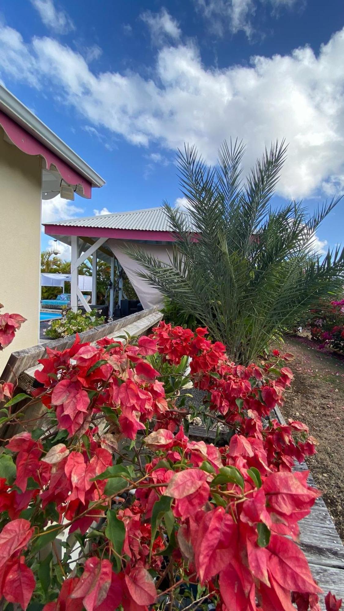 Au Bel'Vue Chez Sandrine "Gite & Chambre D'Hotes" Le Moule Kültér fotó